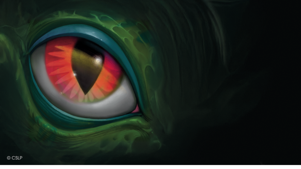 program banner